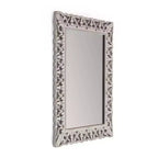 Specchio da parete botanico intagliato grigio, 25" x 19"